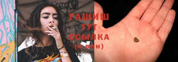 стаф Абаза