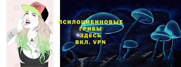 apvp Абинск