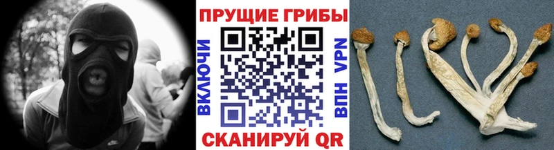 Галлюциногенные грибы Psilocybine cubensis  цены   omg ссылки  Нефтеюганск 